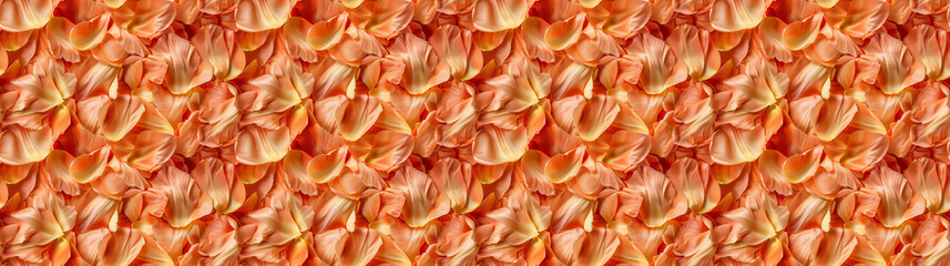 a densely packed backgeound of tulip petals completely covering the surface