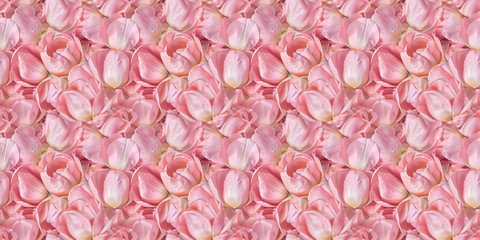 a romantic photography style pattern background of pink tulips