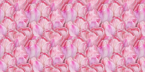 Fototapeta premium a romantic photography style pattern background of pink tulips