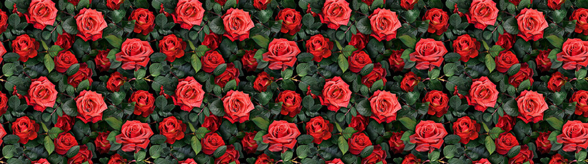 a backgeound of dewy red roses green stems with leaves