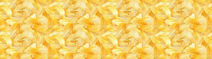 Obraz premium a backgeound of scattered sunflower petals