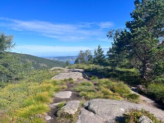 Hiking Trial Mount Løvstakken  Bergen Norway