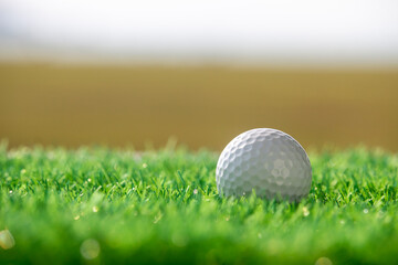 The golf ball is on a green lawn in a beautiful golf course