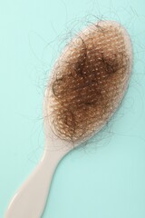 One brush with lost hair on light blue background, top view. Alopecia problem
