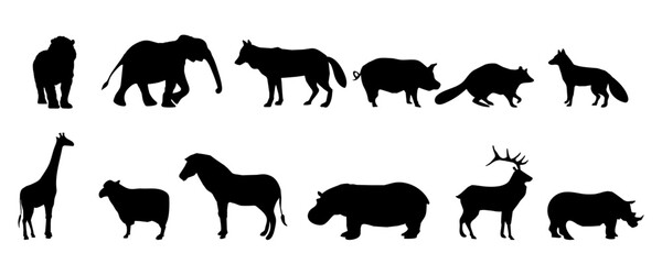 silhouettes vector Animals Set - Detailed Black and White Design of 12 Wildlife animals