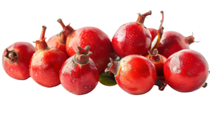 Red guarana on transparent background