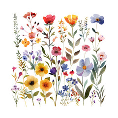 Plants and flowers in a isolated transparent background,Watercolor wildflowers and leaves illustration set, Set of wildflowers, Watercolor floral,wedding invitation, pattern,leaf,Nature clip art,Ai