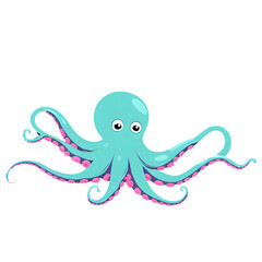 Octopus PNG