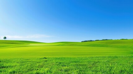 Fototapeta premium Wide view of a green golf course with blue sky, clouds, and trees in the background. Outdoor sport, open field, nature, golfing. Generative by AI