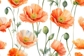 Fototapeta premium Watercolor iceland poppy flowers on white background, Ai Generated