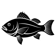 fish isolated on white background