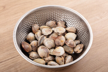 Fresh large clams in a steel basin