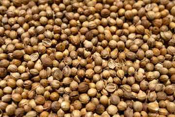 Organic food, spice coriander seeds