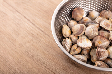 Fresh large clams in a steel basin