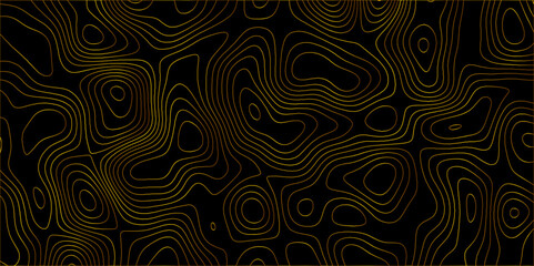 Topographic canyon geometric map relief texture with curved layers and shadow. abstract White background with a beautiful pattern, Topographic contour lines vector map seamless pattern vector.