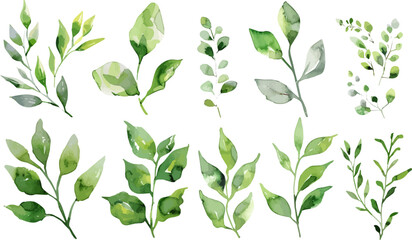 Set of green watercolor leaves on isolated background