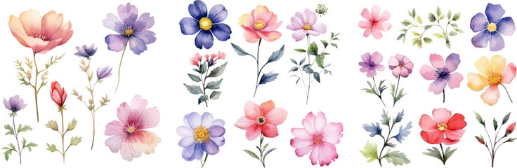 Watercolor floral package collection. Use by fabric, fashion, wedding invitation, template, poster, romance, greeting, spring, bouquet, pattern, decoration and textile.	