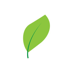 leaf logo icon