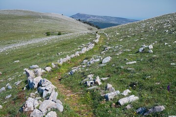 Rocky terrain in Gargano National Park, Italy, Europe.	