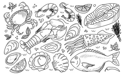 Hand drawn seafood. Sketch salmon, squid, crab, lobster, mussel, oyster, seashell.