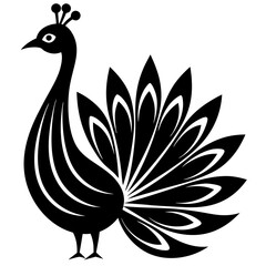 peacock illustration