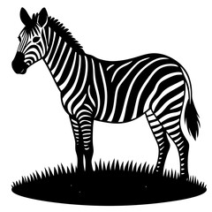 zebra illustration