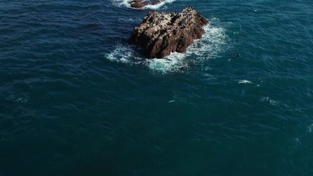 Aerial Shot Tilting Up from the Blue Ocean, Revealing the San Clemente Coastline, Over Seals on Seal Rock