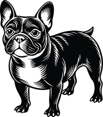 A drawing of a French bulldog