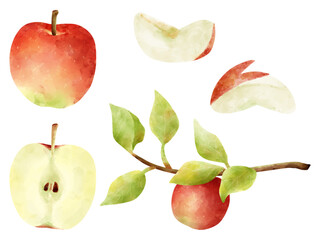 水彩で描いたりんごのイラストセット
