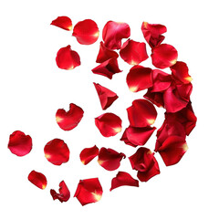 Red Rose Petals In A Curved Pattern On A Black Background