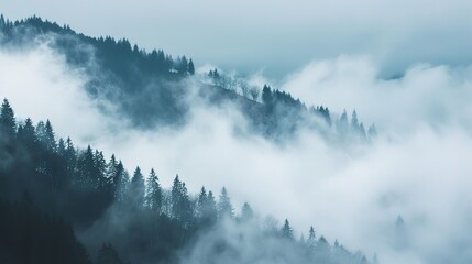 Thick and Mysterious Fog Creating a Beautiful and Enigmatic Atmosphere