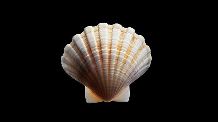 Seashell on Black Background, Ocean Essence Generative AI