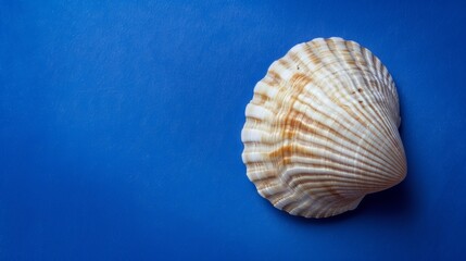 Serenity Found: Seashell on Royal Blue Background Generative AI