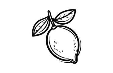 Lemon icon isolated on white background. Beautiful Lemon icon.