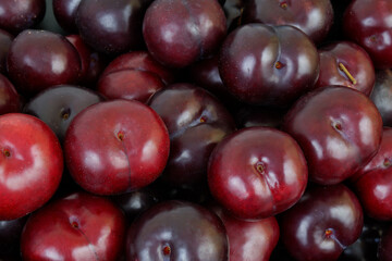 Background of many ripe cherry plums