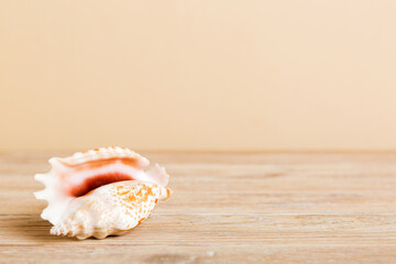 Summer time concept with sea shells or starfish on a table background with copy space for text