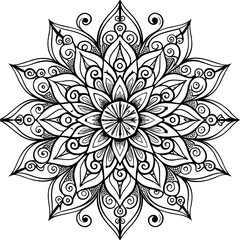 hand-drawn-paisley-floral-ornament  vector