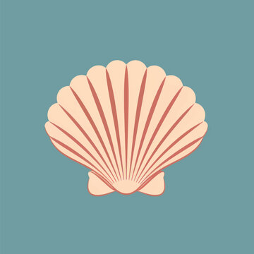 Elegant seashell icon design
