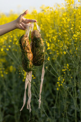 Schmutzige Balletschuhe vor einem Rapsfeld © parallel_dream