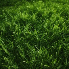 Fototapeta premium Close-up of lush green grass just cut, with even length and vivid color. Perfect as a natural background for various creative projects. Enhance your designs with this organic texture