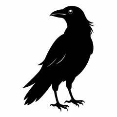 Bird Black silhouette