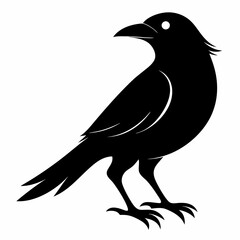 Bird Black silhouette