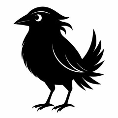 Bird Black silhouette