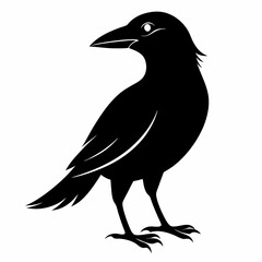 Bird Black silhouette