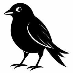 Bird Black silhouette