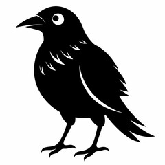 Bird Black silhouette