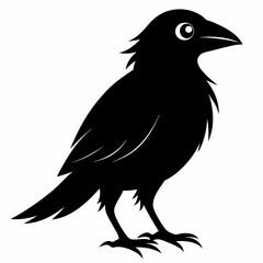 Bird Black silhouette