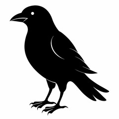 Bird Black silhouette