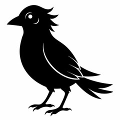Bird Black silhouette