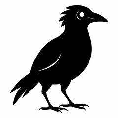 Bird Black silhouette